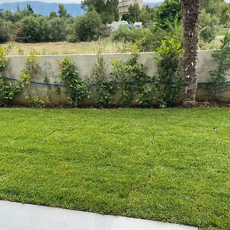 Dukes Albania Radhime